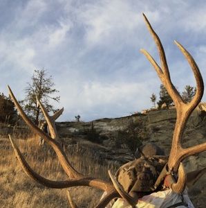 Meet your Posher, Taite